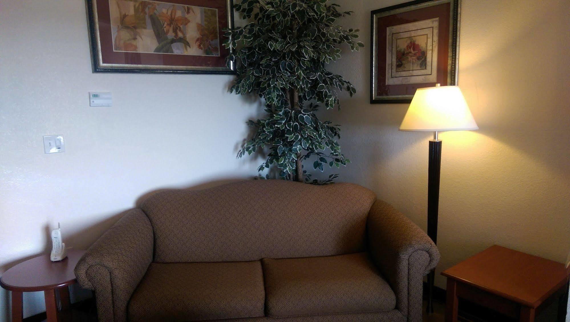 Hotel Super 8 By Wyndham Austin/Airport South Extérieur photo