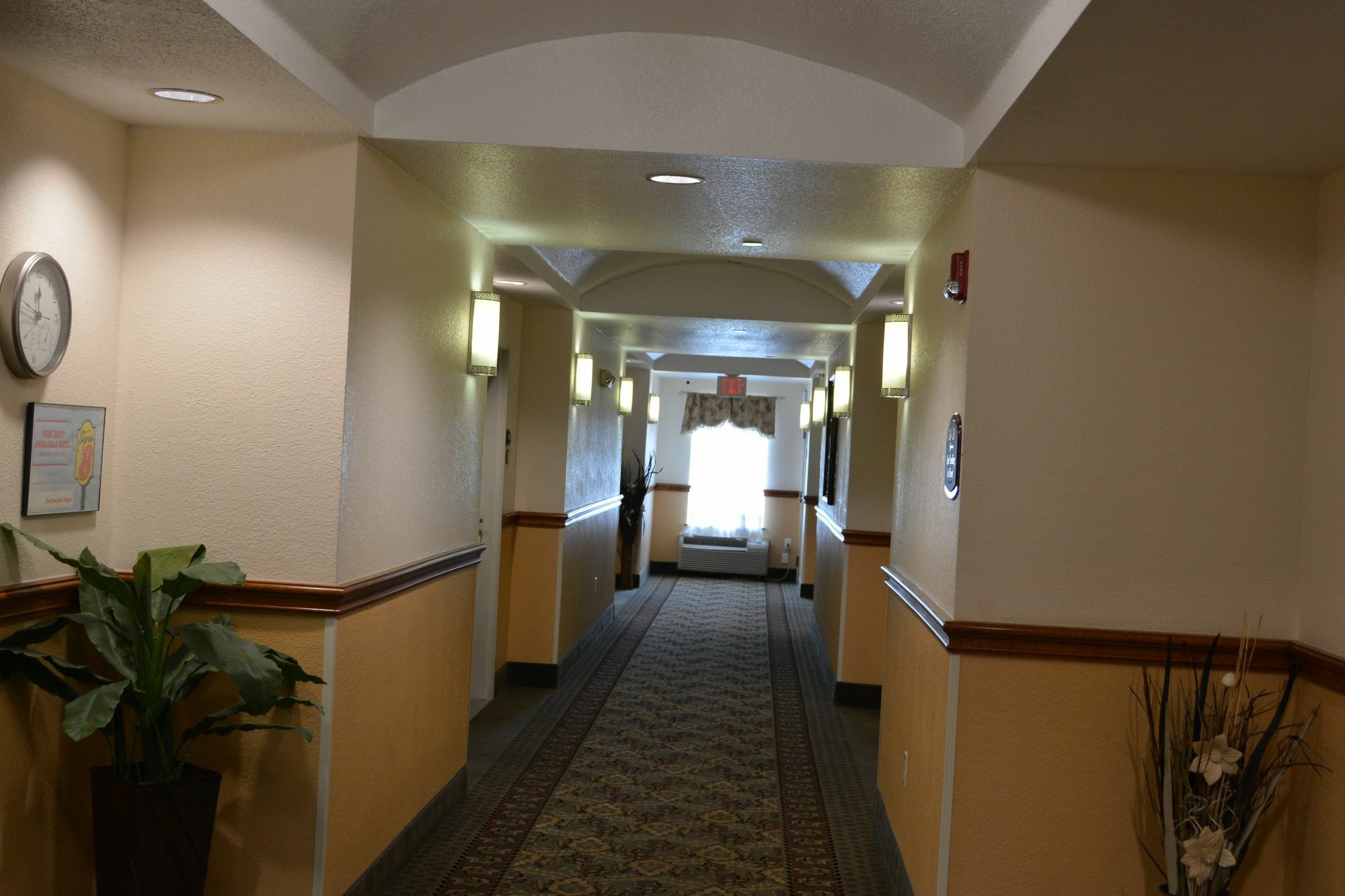 Hotel Super 8 By Wyndham Austin/Airport South Extérieur photo