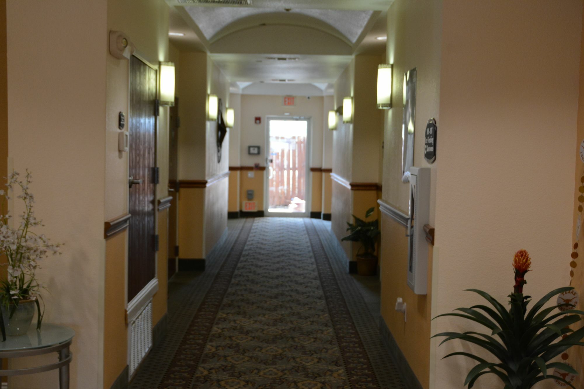 Hotel Super 8 By Wyndham Austin/Airport South Extérieur photo